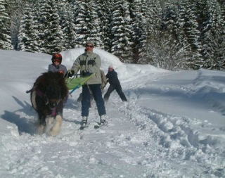  Skijoring en familia 